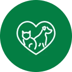 Main goals icon2